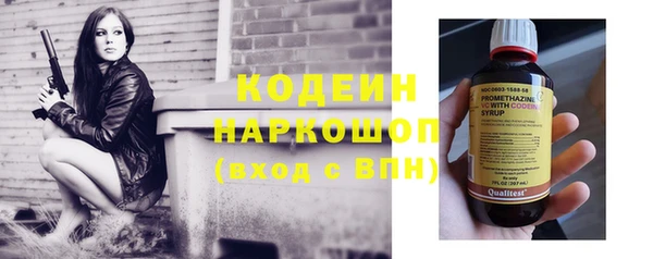 молекула духа Богородицк