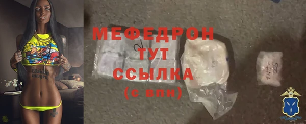 гидра Богородск