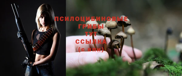 таблы Беломорск