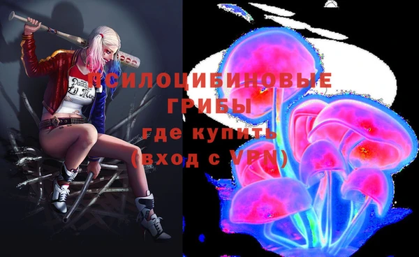 спиды Белоозёрский