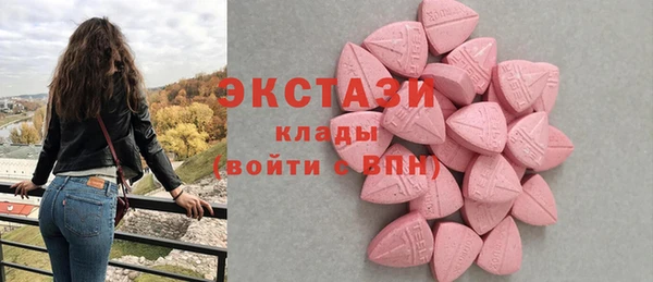 гидра Богородск